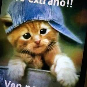 Meet your Posher, Sofia